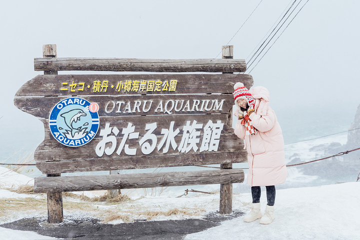 "当时真的非常大雪，而且还是在山上，也非常大风，雪地也很滑，拍这个照片的时候，一直被吹走，后面就..._小樽水族馆"的评论图片