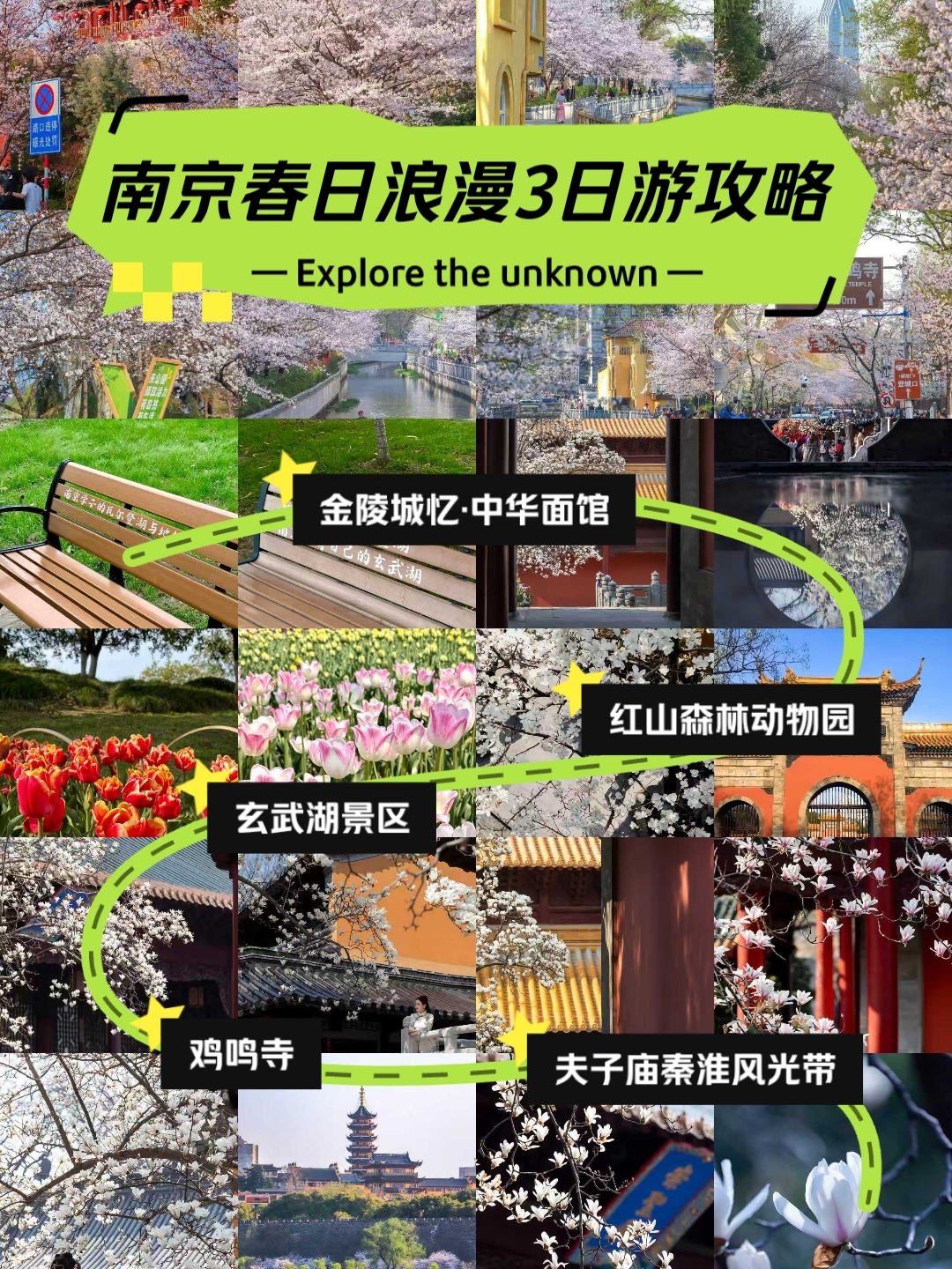 南京红山动物园实拍图