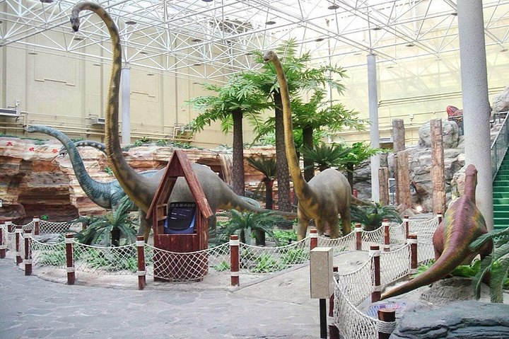 "探寻北京自然博物馆： 感受自然的魅力_国家自然博物馆"的评论图片