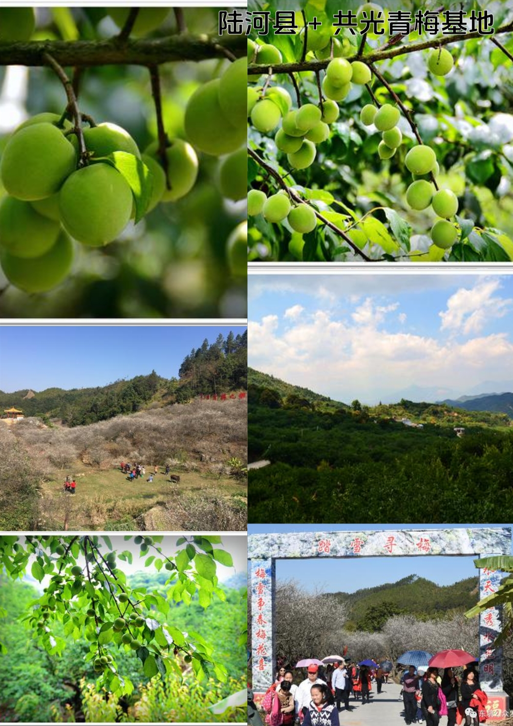 陆河河田客家围屋实拍图6