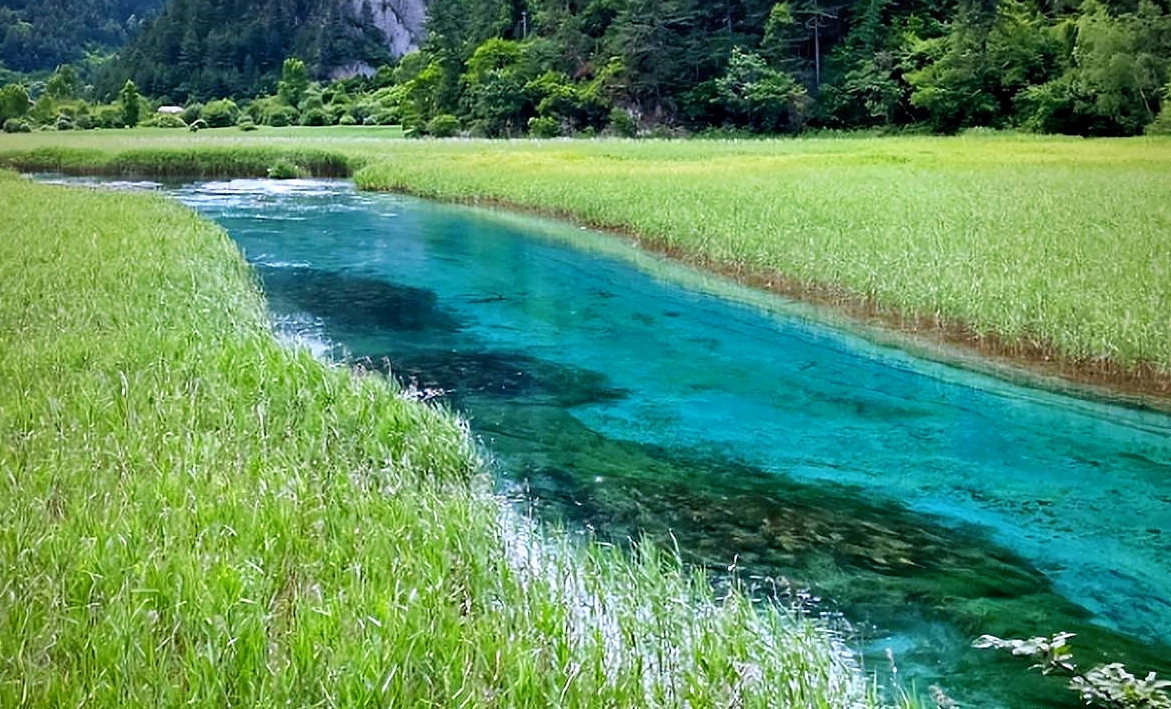 九寨沟五花海实拍图