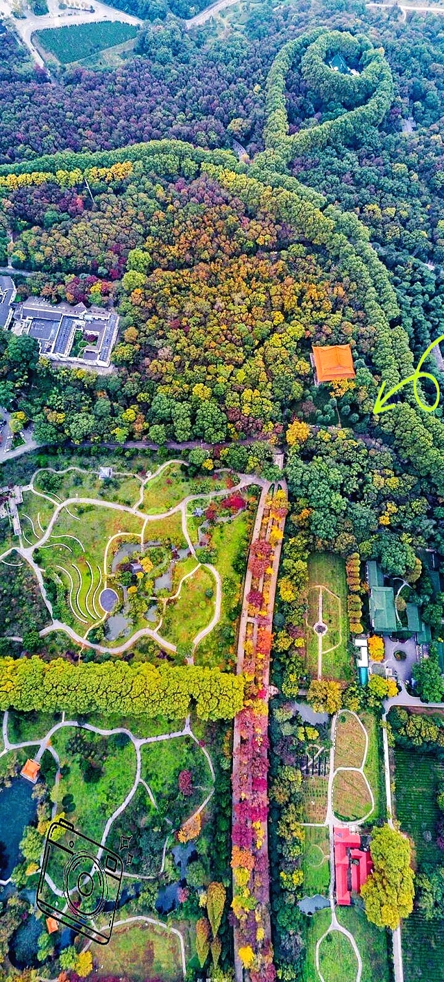 南京玄武湖实拍图