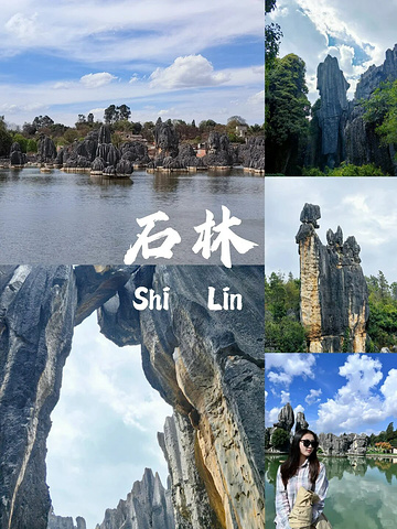 "云南旅游攻略|姐妹出行必备‼️看了不后悔_云南民族大观园"的评论图片