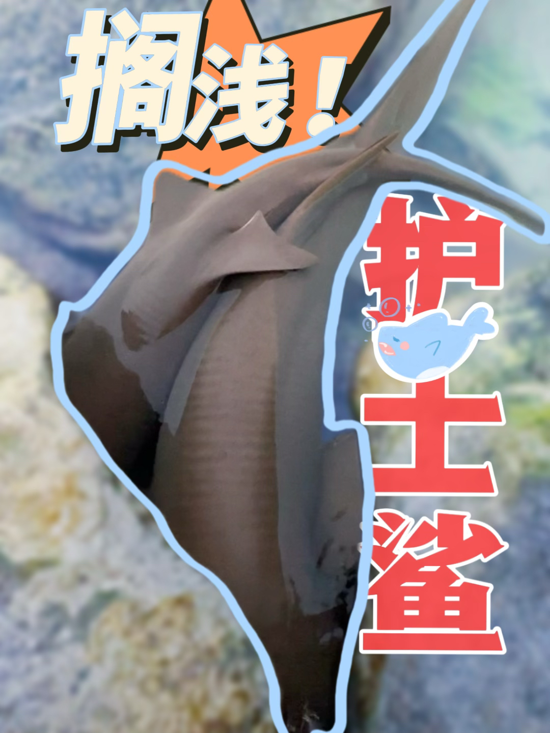 马尔代夫Fulidhoo实拍图