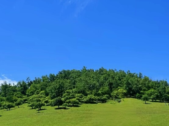 陇县关山草原实拍图