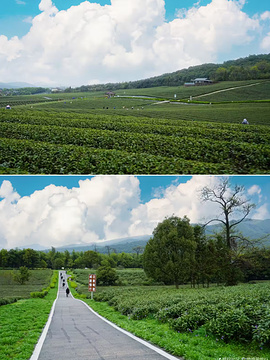 龙池山自行车公园旅游景点攻略图