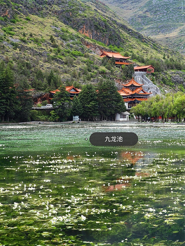 "云南旅游| 绝美小众景点🧚🏻‍♀️鹤庆黄龙潭_黄龙潭"的评论图片