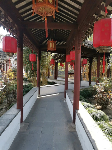 "上海古猗园：古典园林的精致与雅致_古猗园"的评论图片