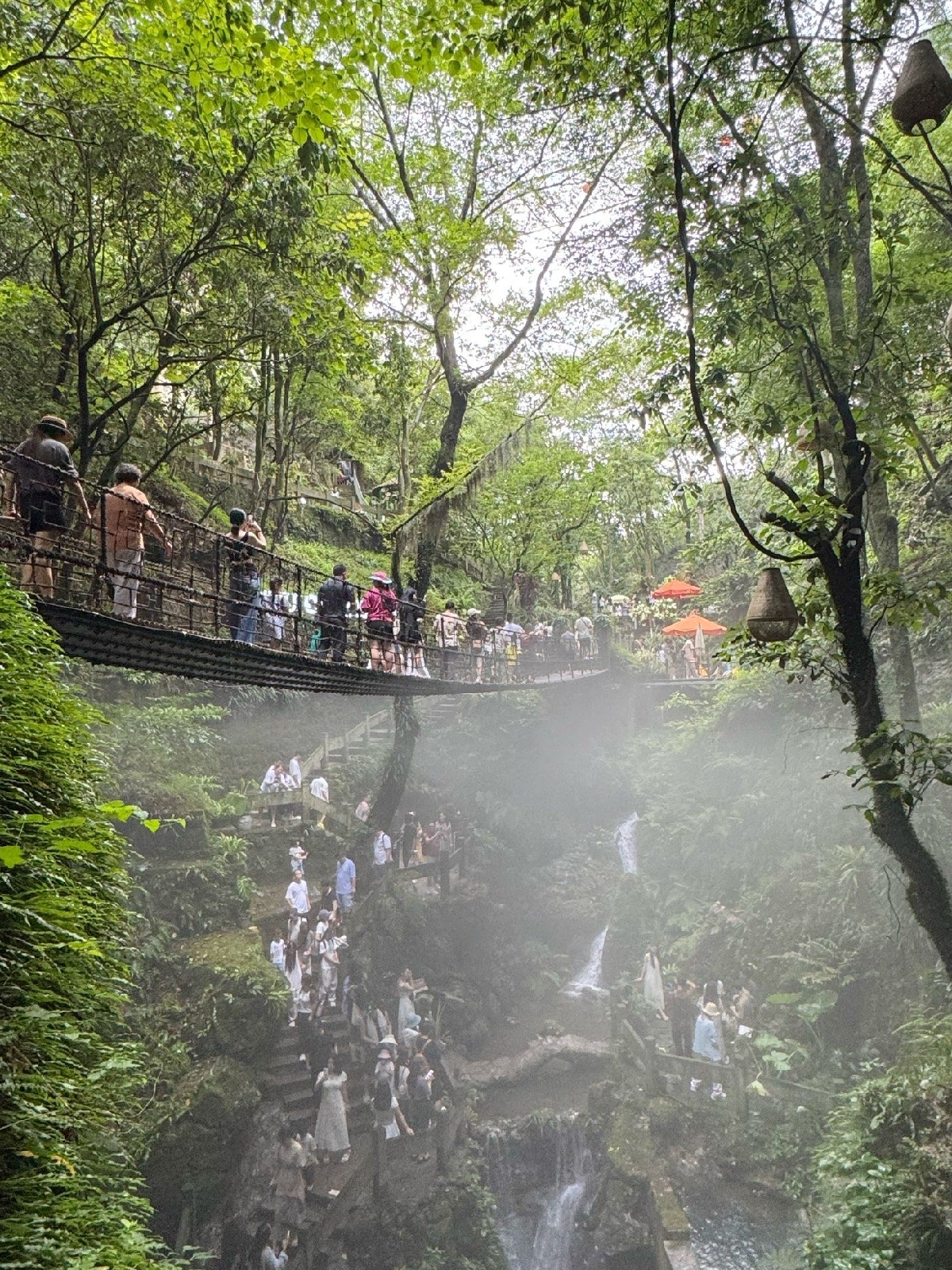 杭州植物园实拍图