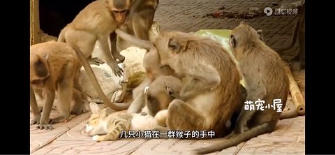 昆明动物园旅游景点攻略图