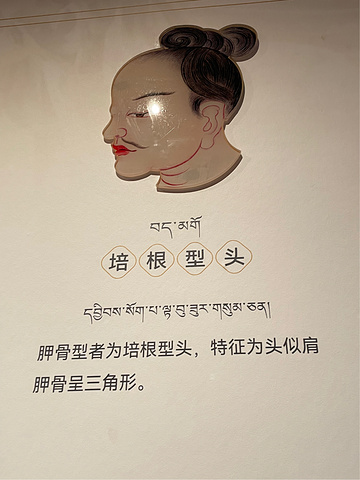 "如同上了一堂课_青海藏文化博物院"的评论图片