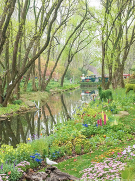 上海共青森林公园旅游景点攻略图