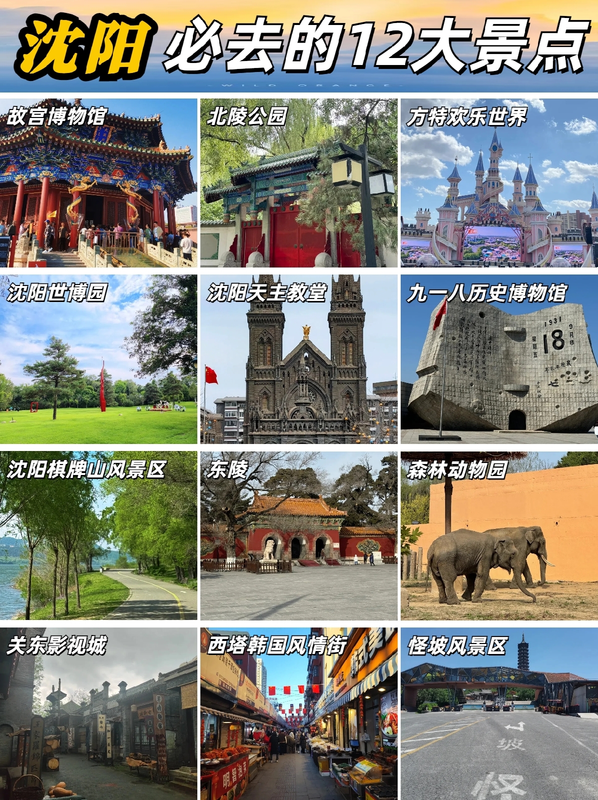 沈阳故宫实拍图
