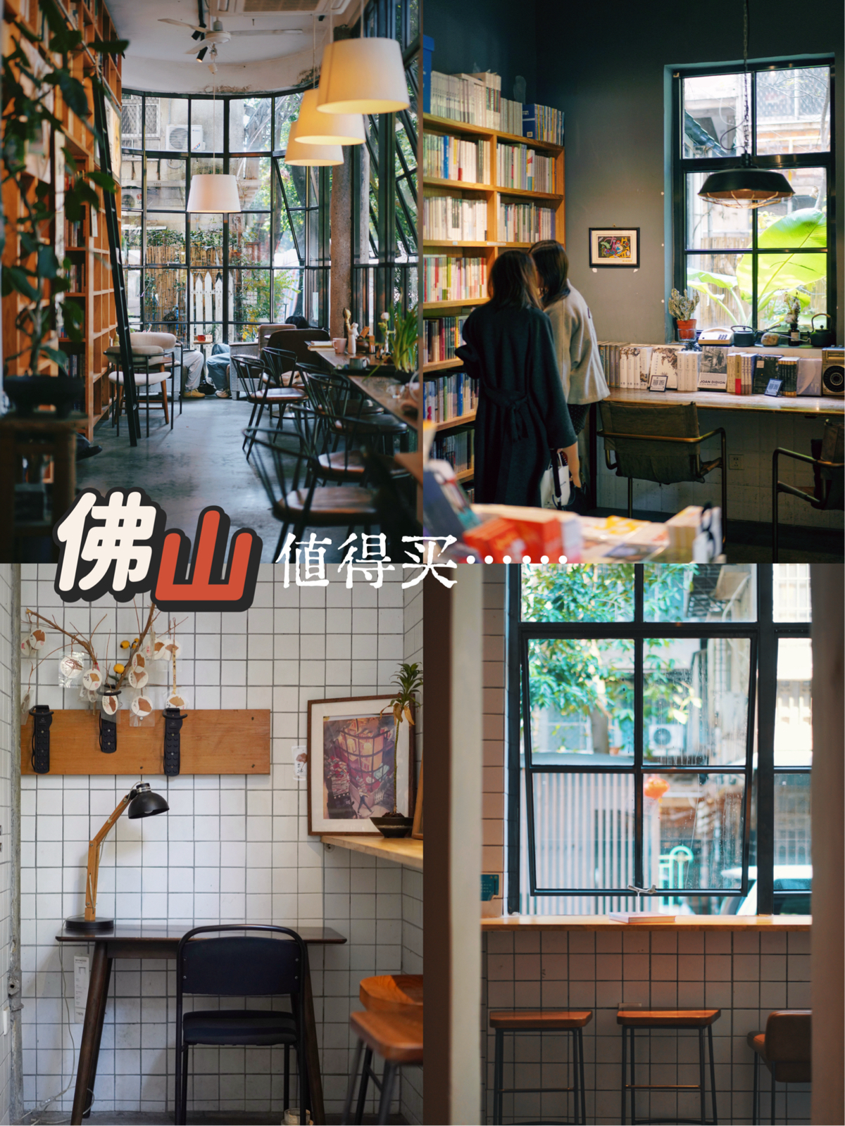 佛山橘树实拍图
