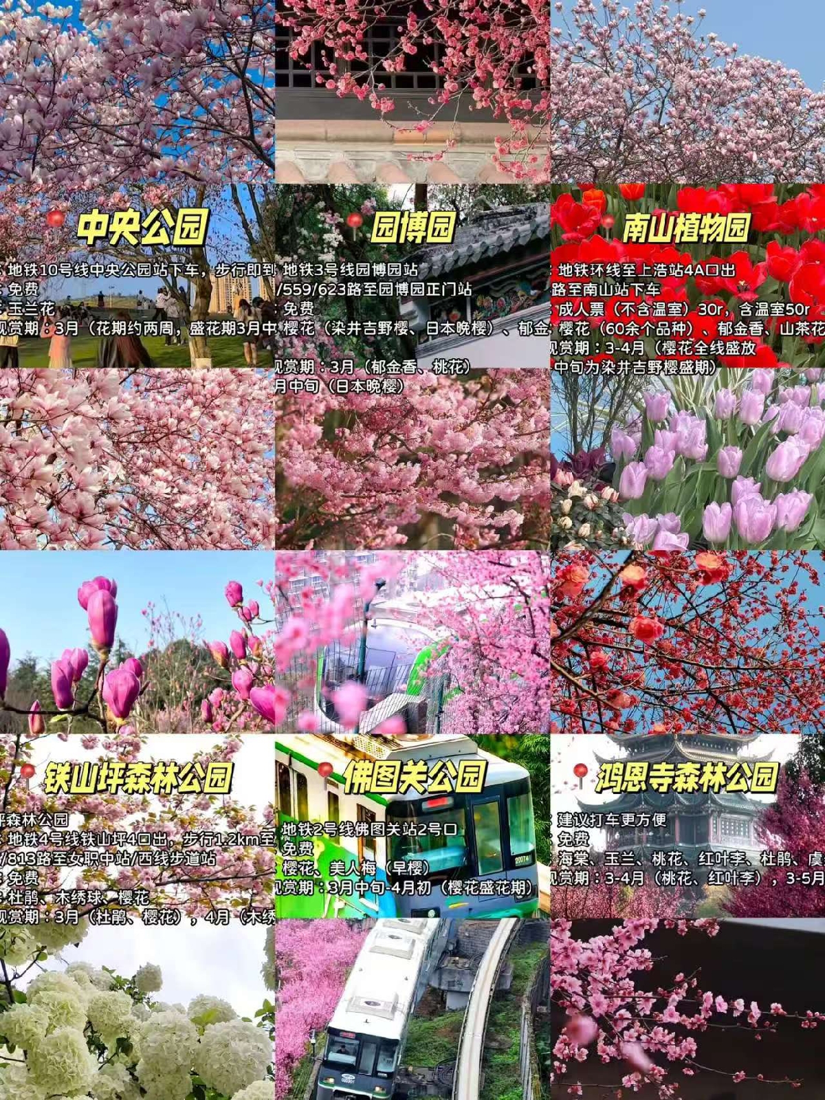 重庆鸿恩寺森林公园实拍图