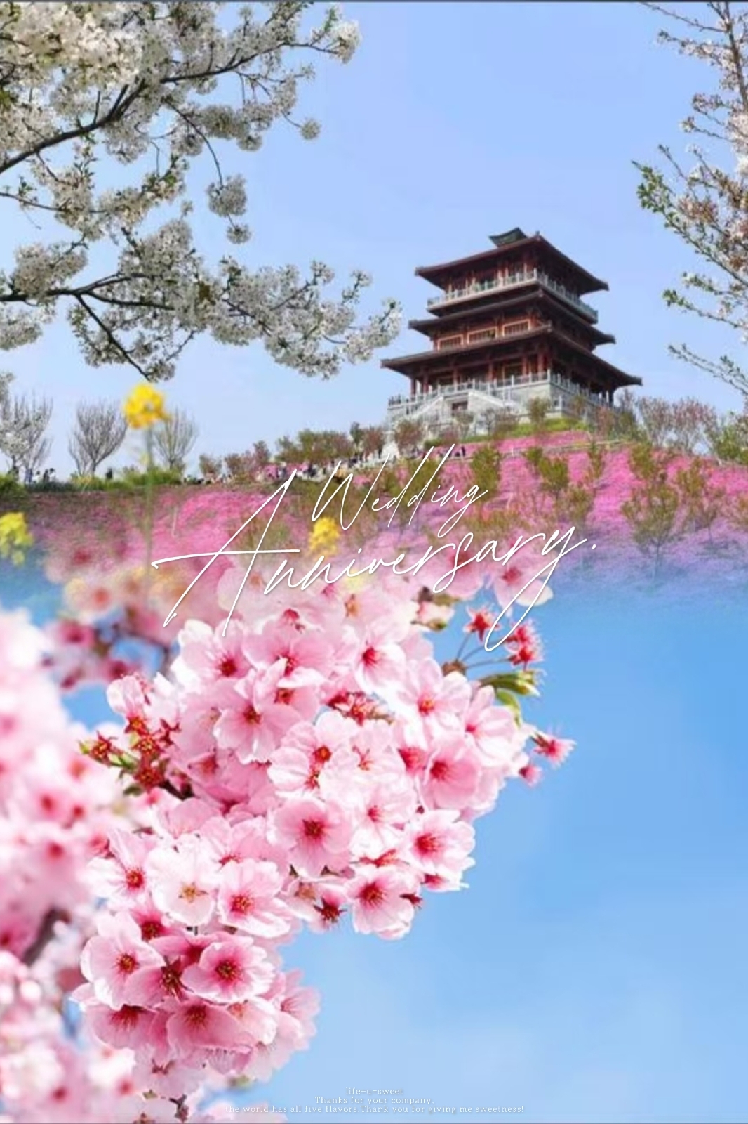 荥阳丰乐樱花园实拍图3