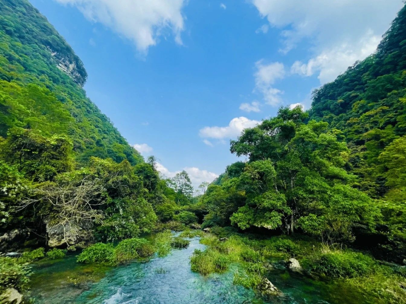 荔波茂兰自然保护区实拍图