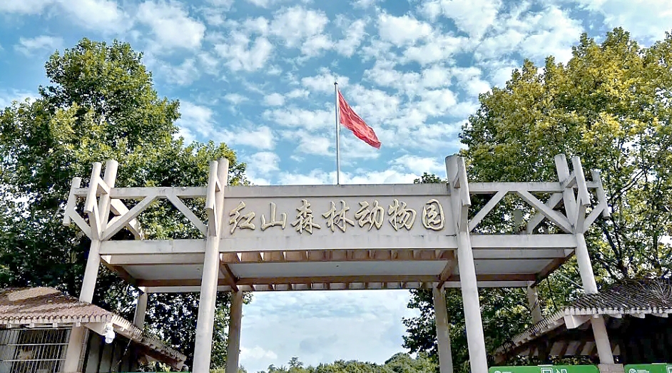 南京夫子庙实拍图