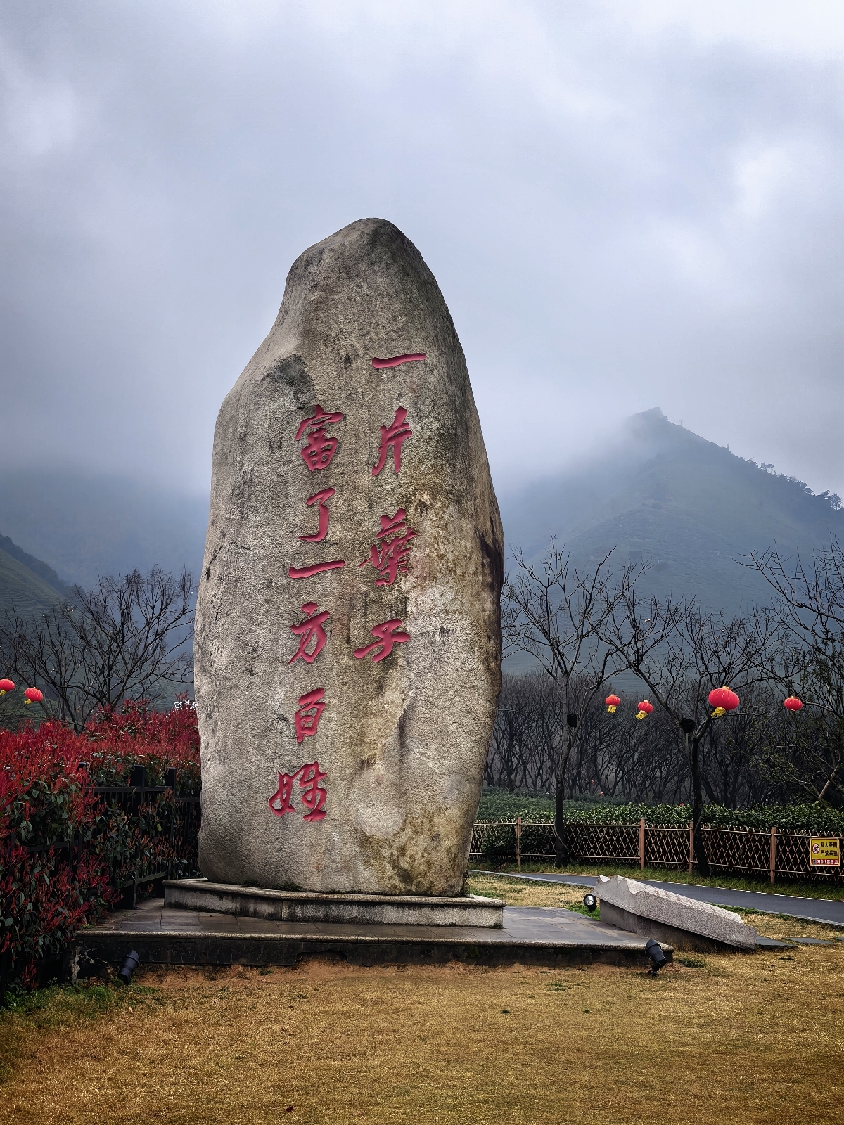 安吉白茶原·安吉白茶观景平台实拍图4