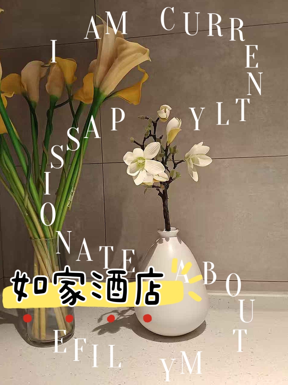 扬州宝应香榭丽玫瑰园实拍图