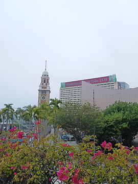 维多利亚港旅游景点攻略图