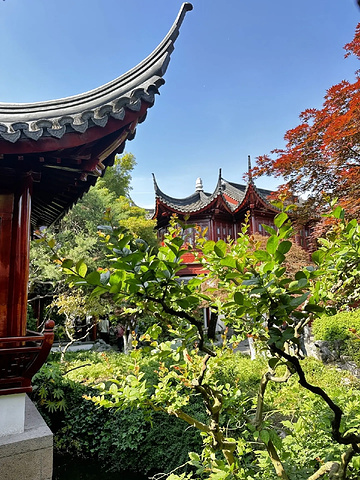"探索上海大观园的历史与建筑美学_上海大观园"的评论图片