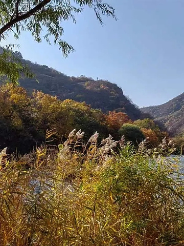 "黄花城水长城： 穿越时空的北京怀柔之旅，感受古老与自然的完美_黄花城水长城"的评论图片