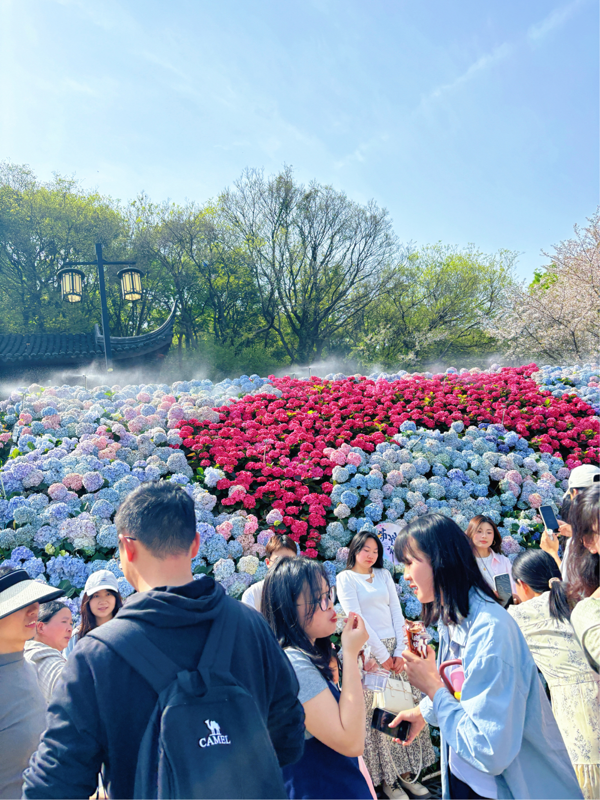 苏州上方山国家森林公园-楞伽寺实拍图
