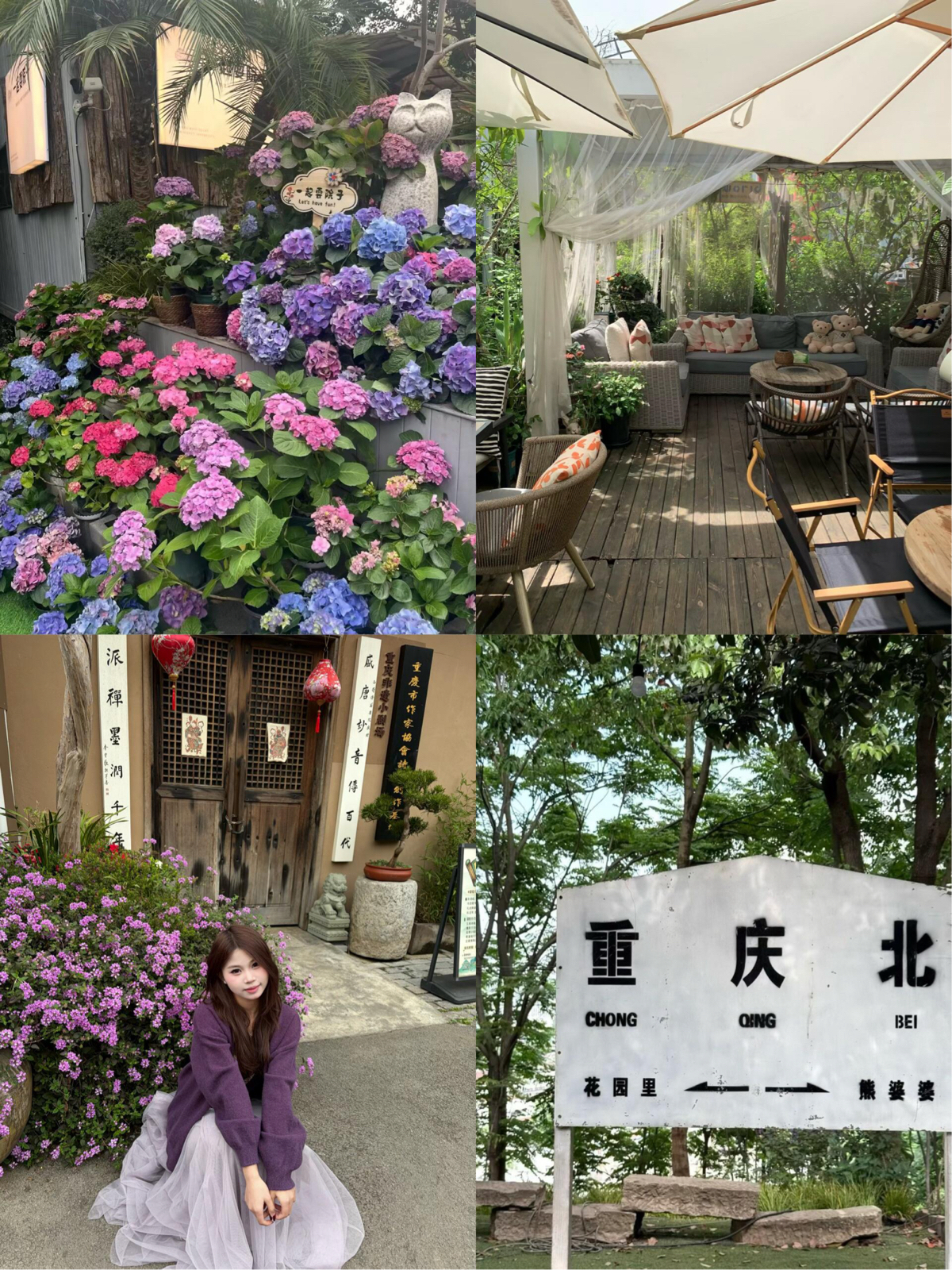重庆熊婆婆的花园实拍图