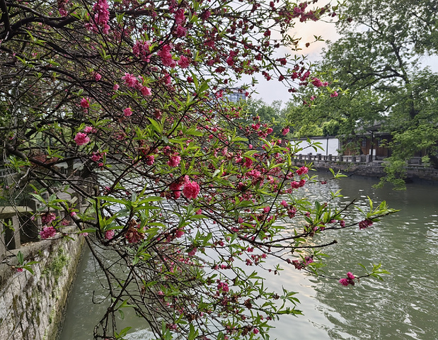 "访古华光桥，属于杭州的春和景明_霞湾公园"的评论图片