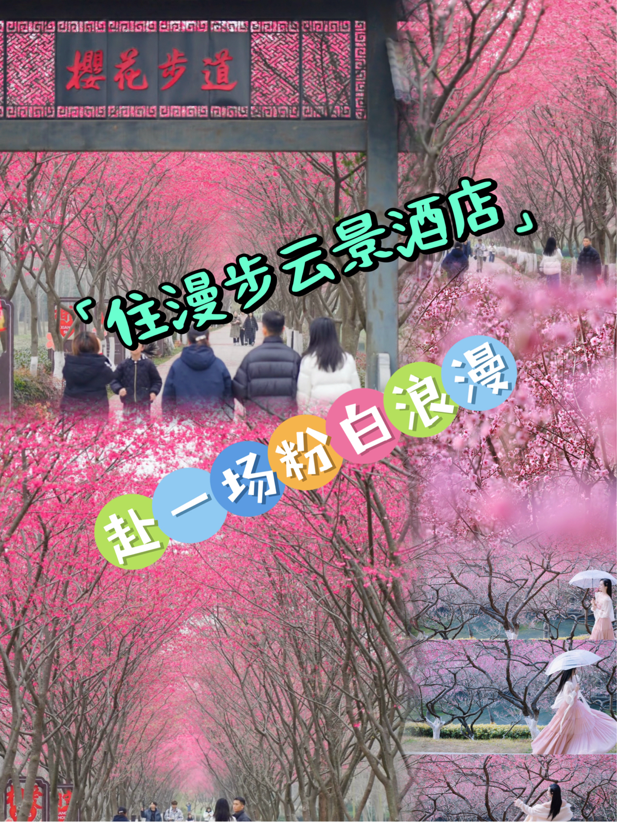 合肥滨湖国家森林公园实拍图