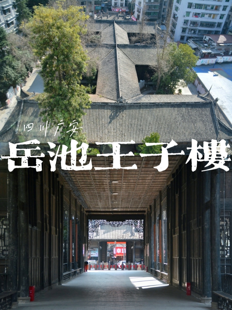 岳池王字楼实拍图