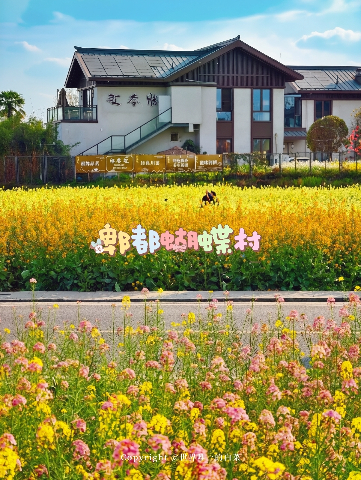 成都蝴蝶村实拍图