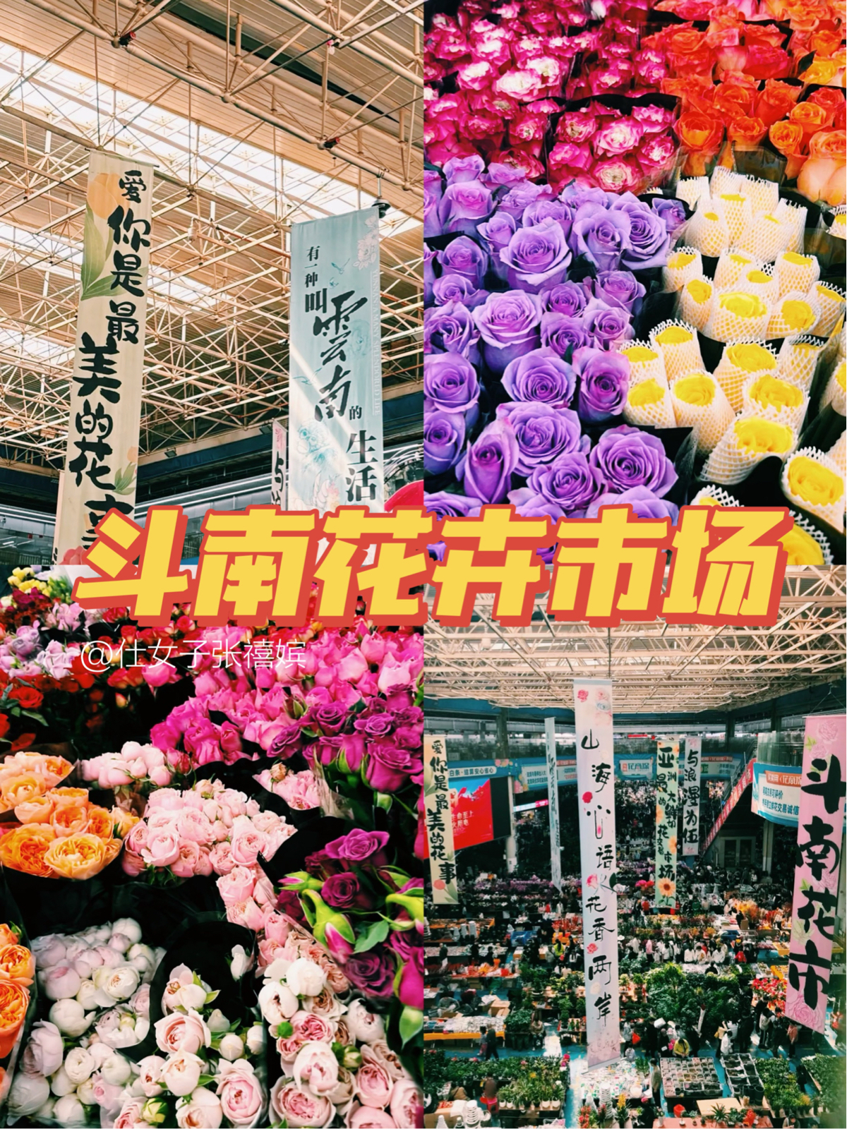 昆明斗南花卉小镇实拍图