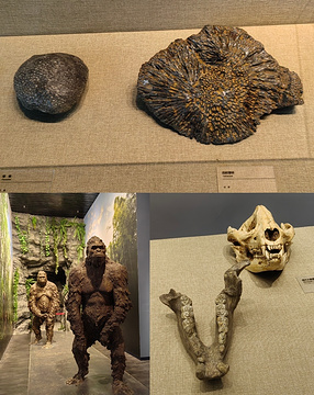 柳州白莲洞古人类遗址博物馆旅游景点攻略图