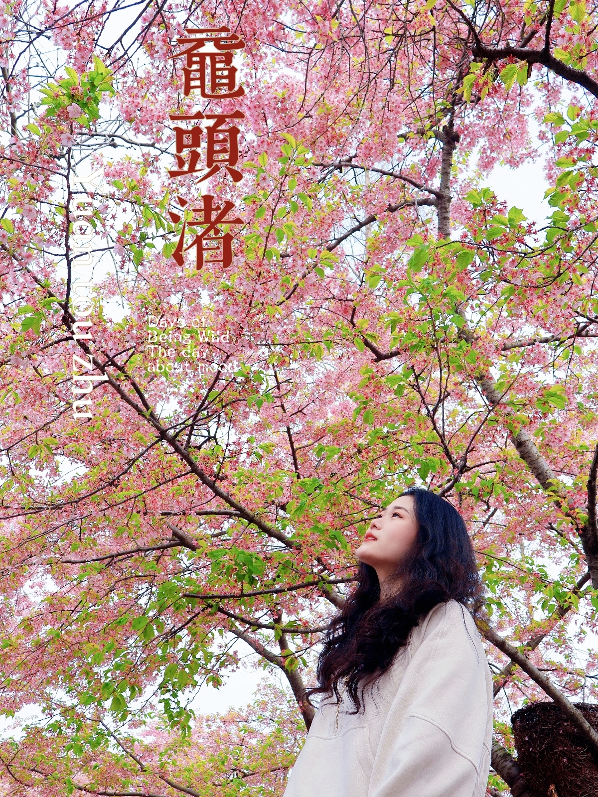 无锡市太湖鼋头渚风景区实拍图