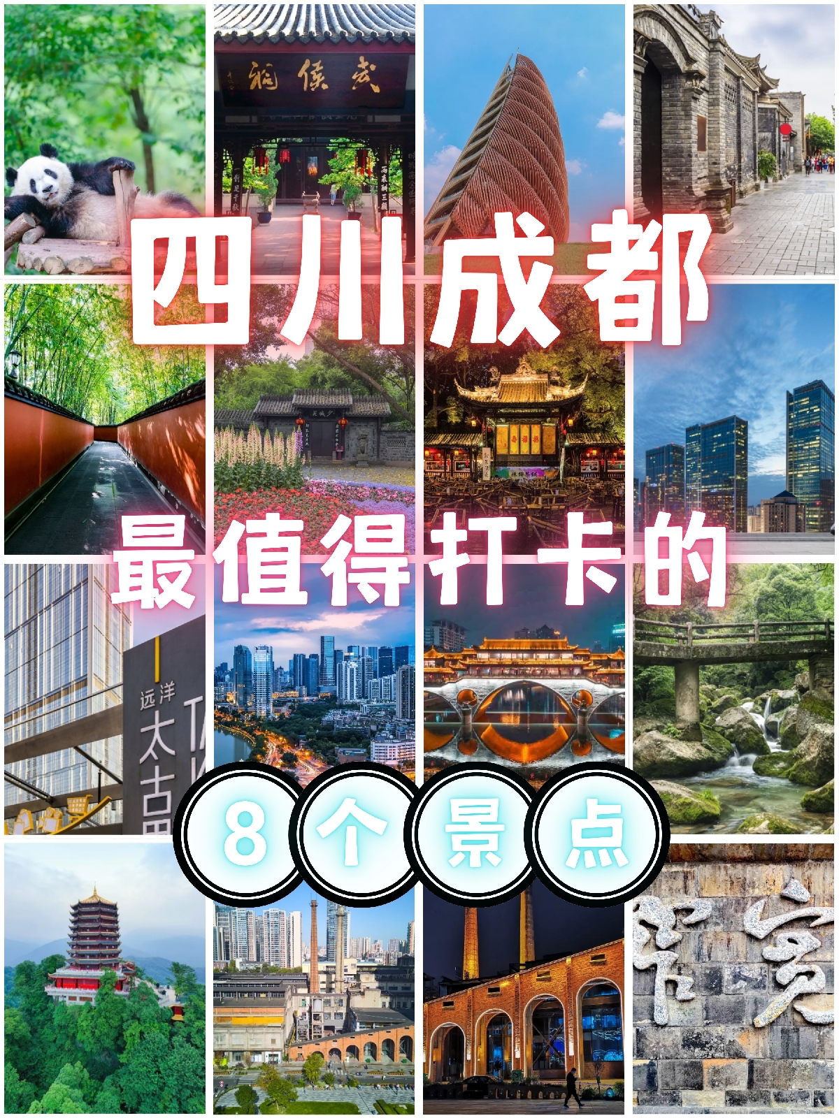 成都大熊猫繁育研究基地实拍图
