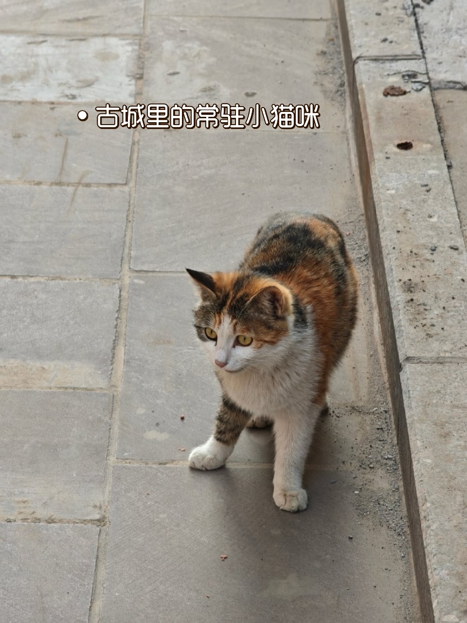 平遥古城实拍图6