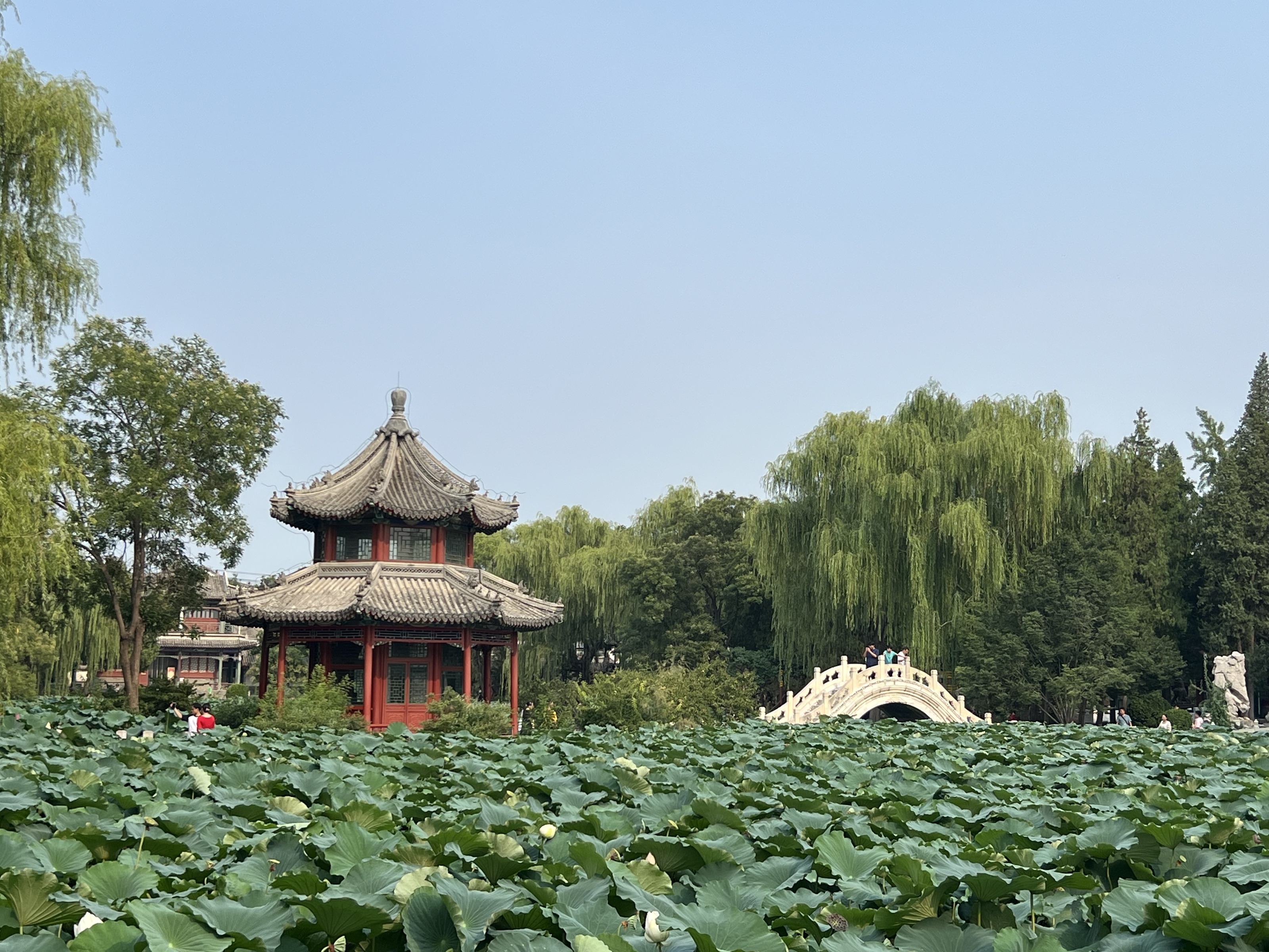 周末去河北之保定