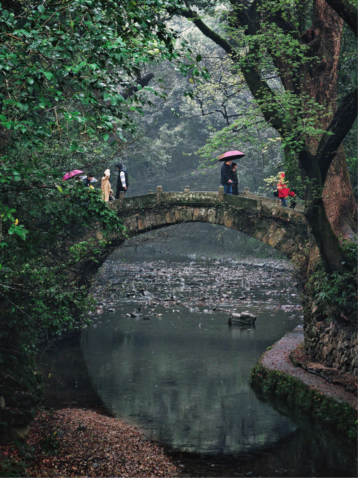 天台县国清景区实拍图
