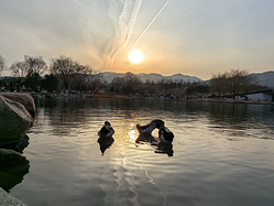 2025踏“晋”迎春