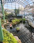 阿伯丁植物园实拍图