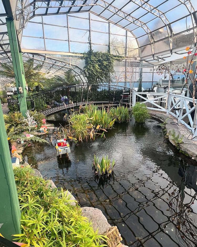 阿伯丁植物园实拍图9