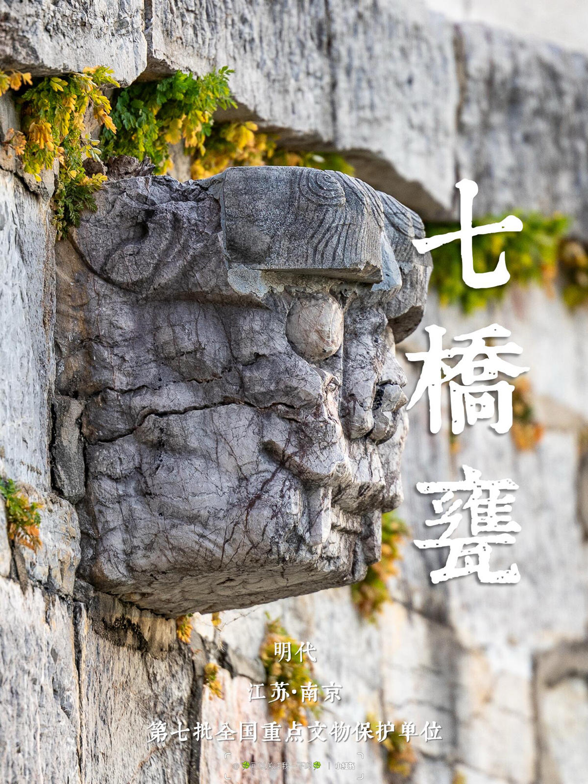 南京七桥瓮生态湿地公园实拍图