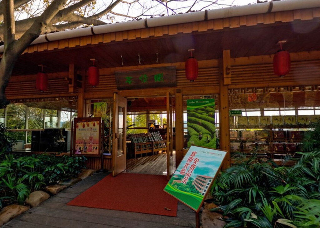梅州雁南飞茶田景区实拍图