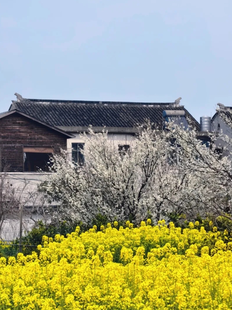 苏州西山风景区-春熙堂实拍图