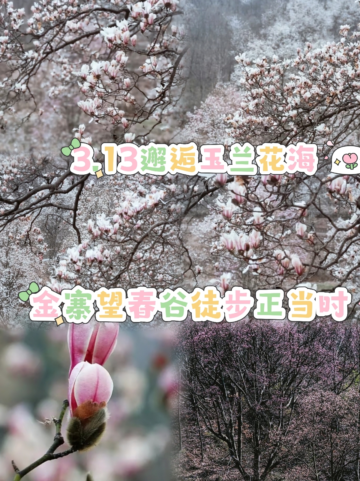 六安望春谷实拍图