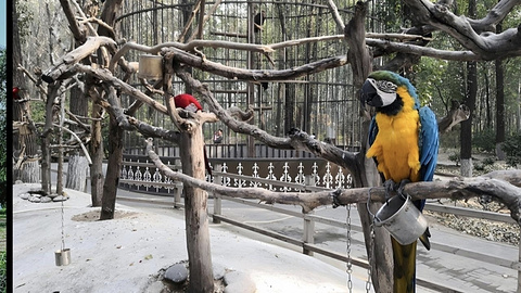 北京野生动物园旅游景点攻略图