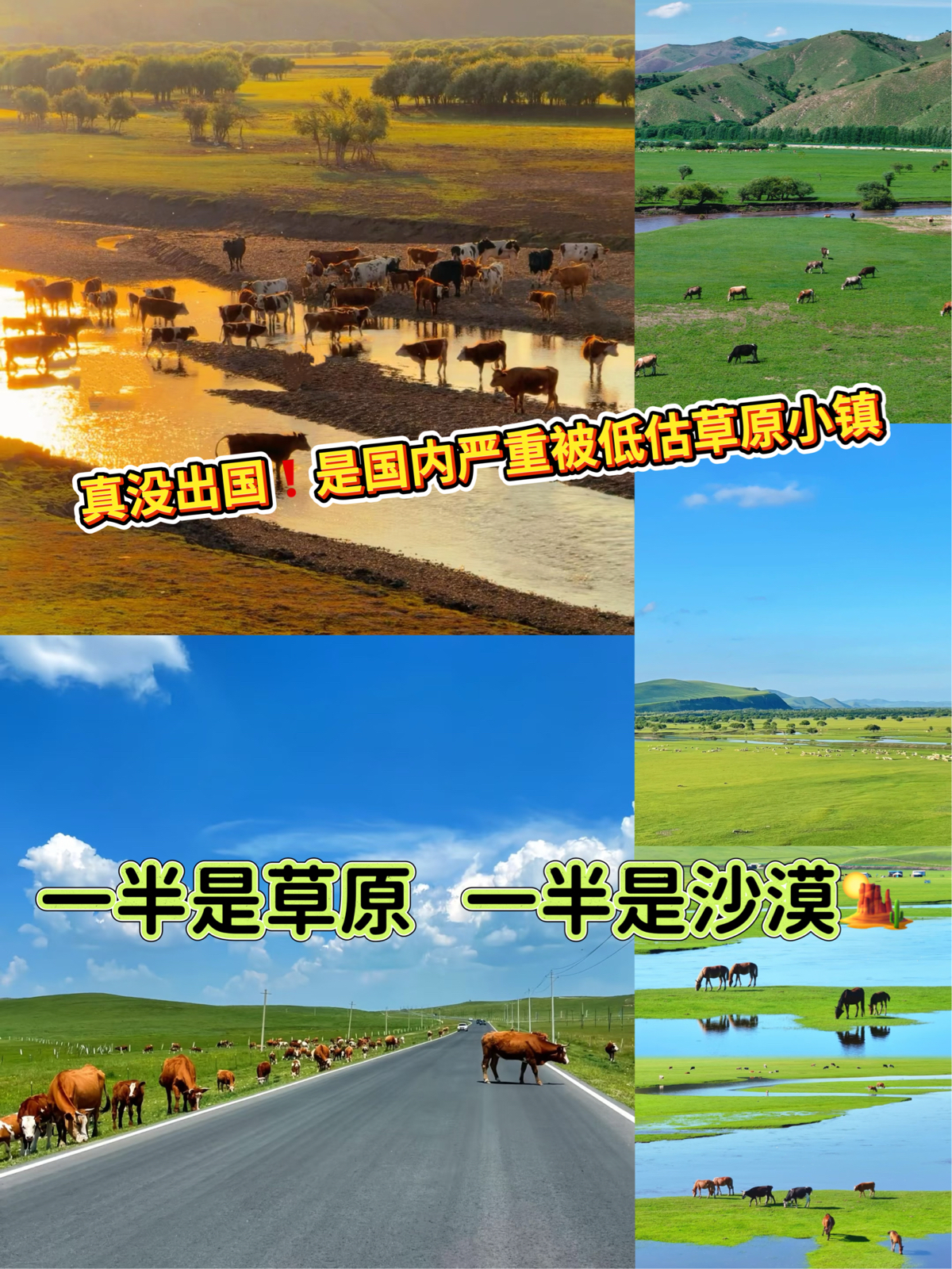 克什克腾旗乌兰布统旅游区实拍图