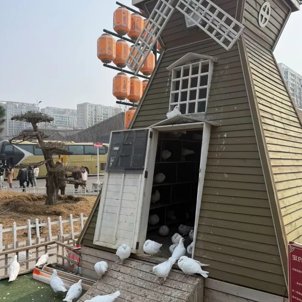 唐山河头老街实拍图